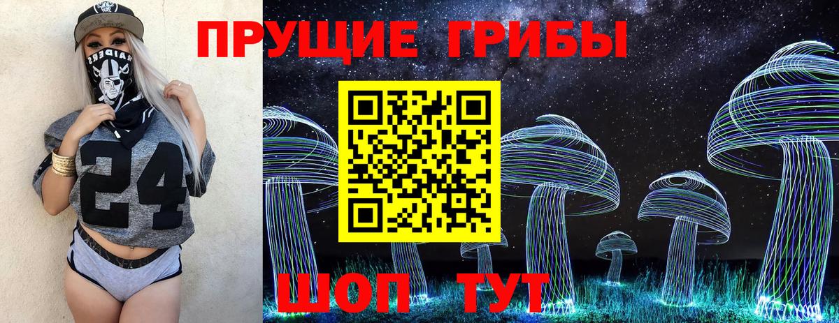 Псилоцибиновые грибы прущие грибы  Псилоцибиновые грибы ЛСД  Вход с VPN  Саянск 